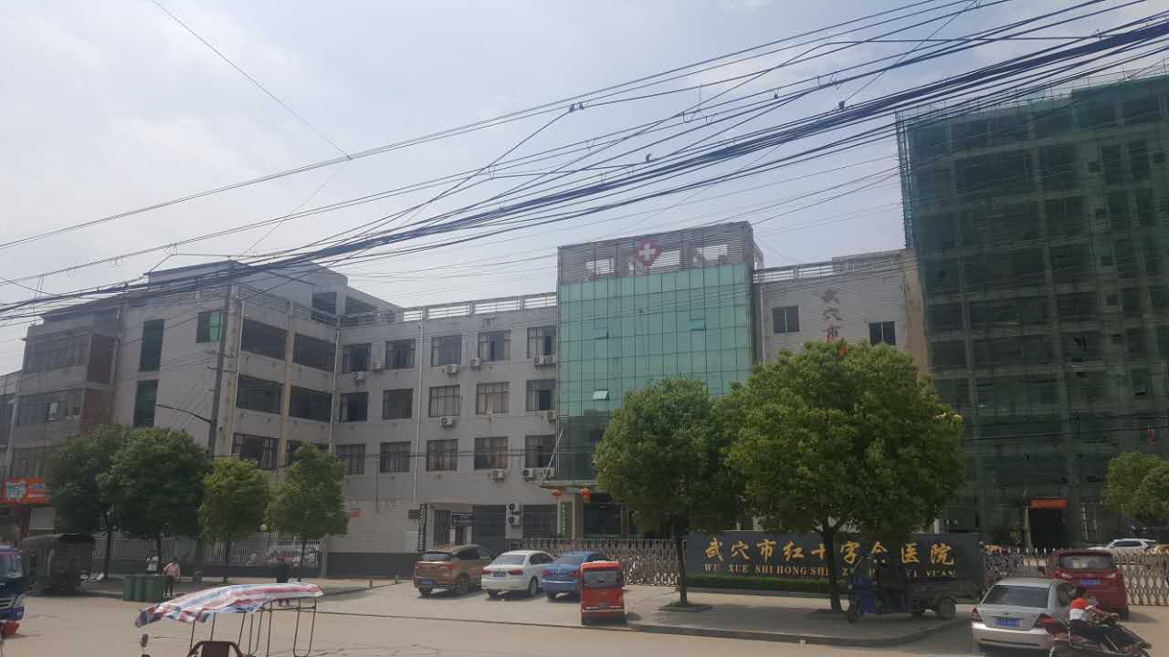 武穴市紅十字會醫院采購豪華推車式91视频下载污