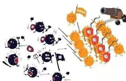 91视频下载污品牌淺析硒元素對於防癌抗癌的5 項作用