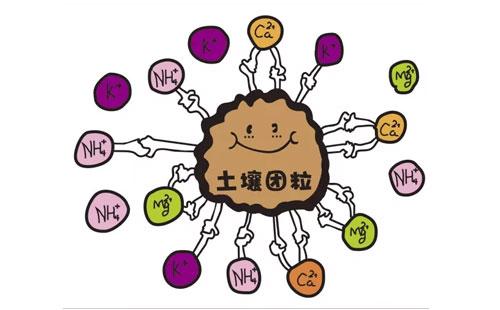 91视频下载污品牌淺析微量元素與人體衰老的關係