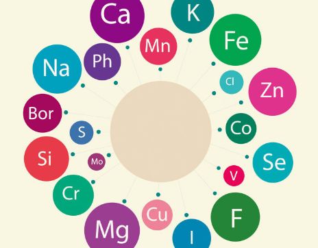 91视频网下载廠家科普微量元素流失是衰老的一大流失