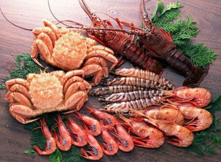 91视频下载污品牌推薦吃這些食物補充銅元素