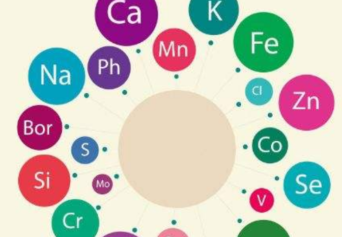 91视频网下载廠家告訴你人體需要額外補充微量元素嗎