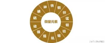 91视频下载污廠家告訴你人體必需的幾種微量元素